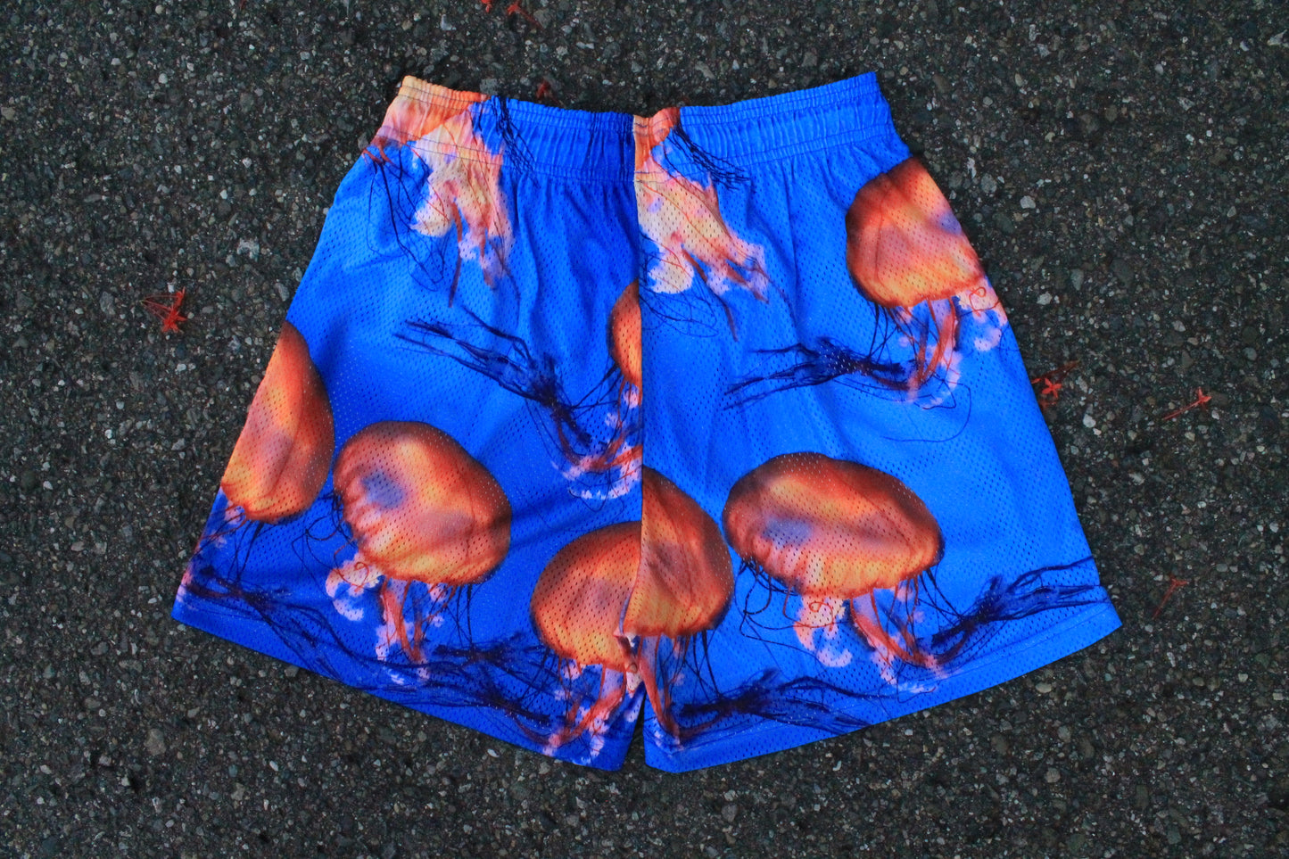 Short “Jellyfish” XL