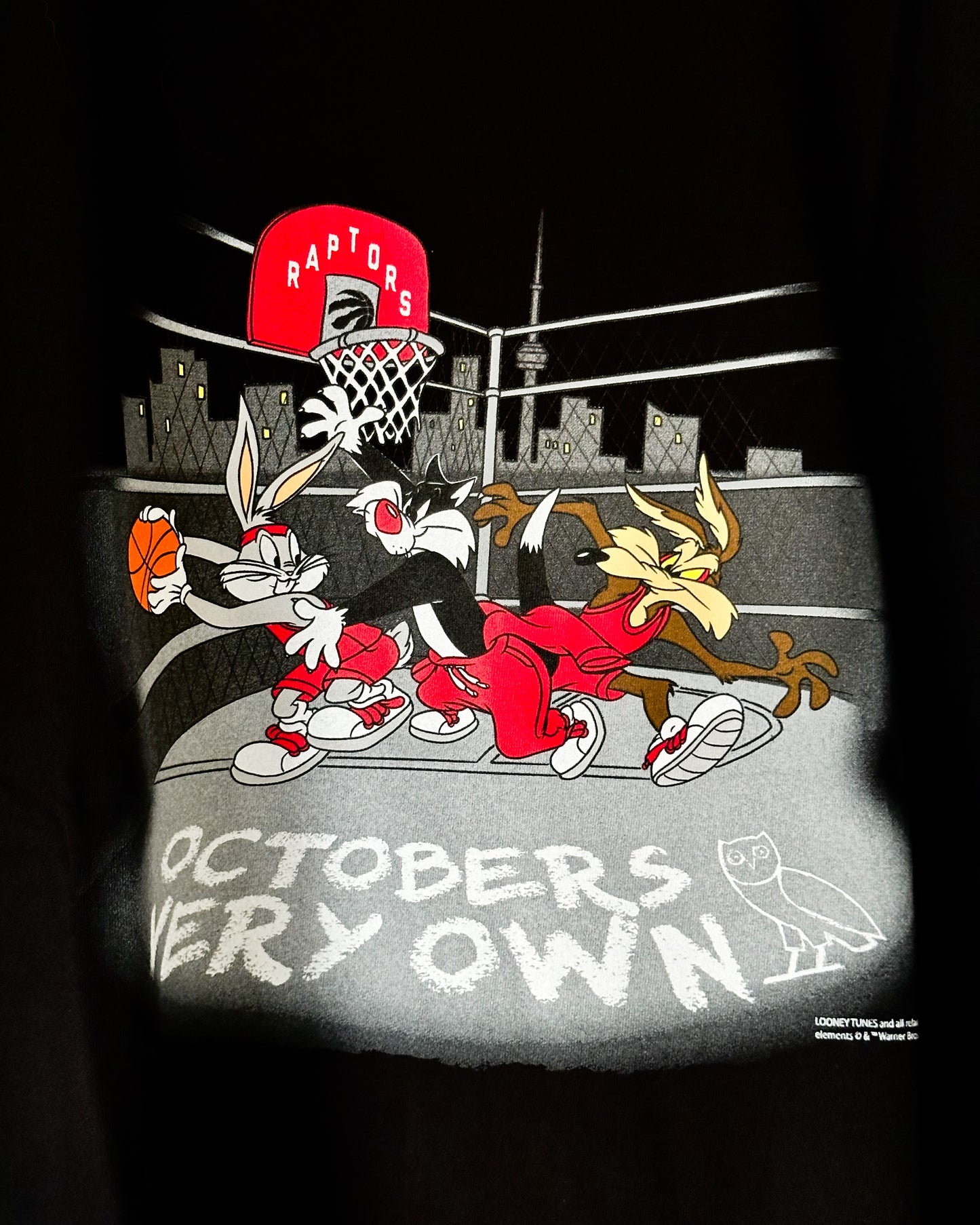 T-shirt "Looney Tunes x Raptors" Black L