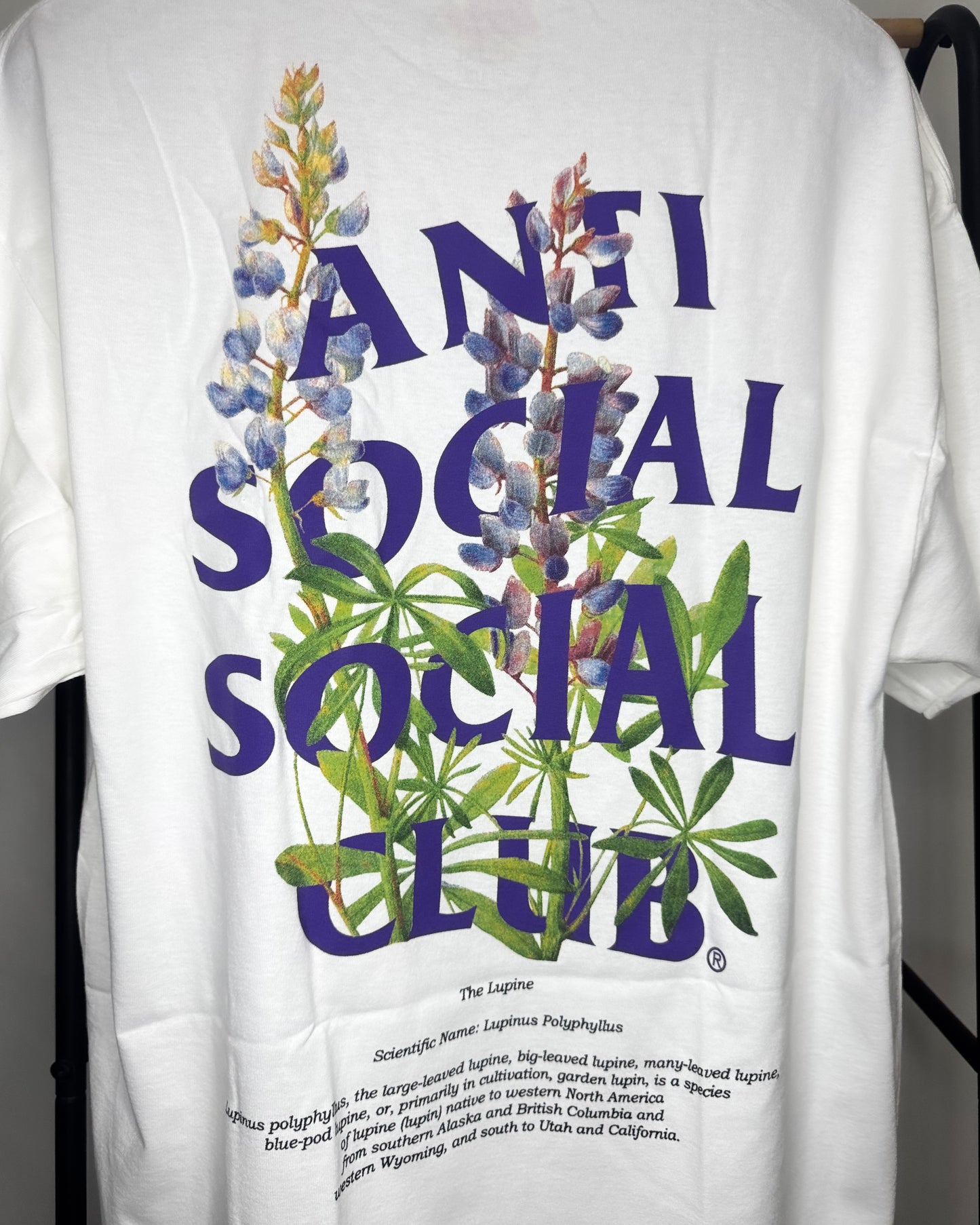 T-Shirt “Lupin” XL