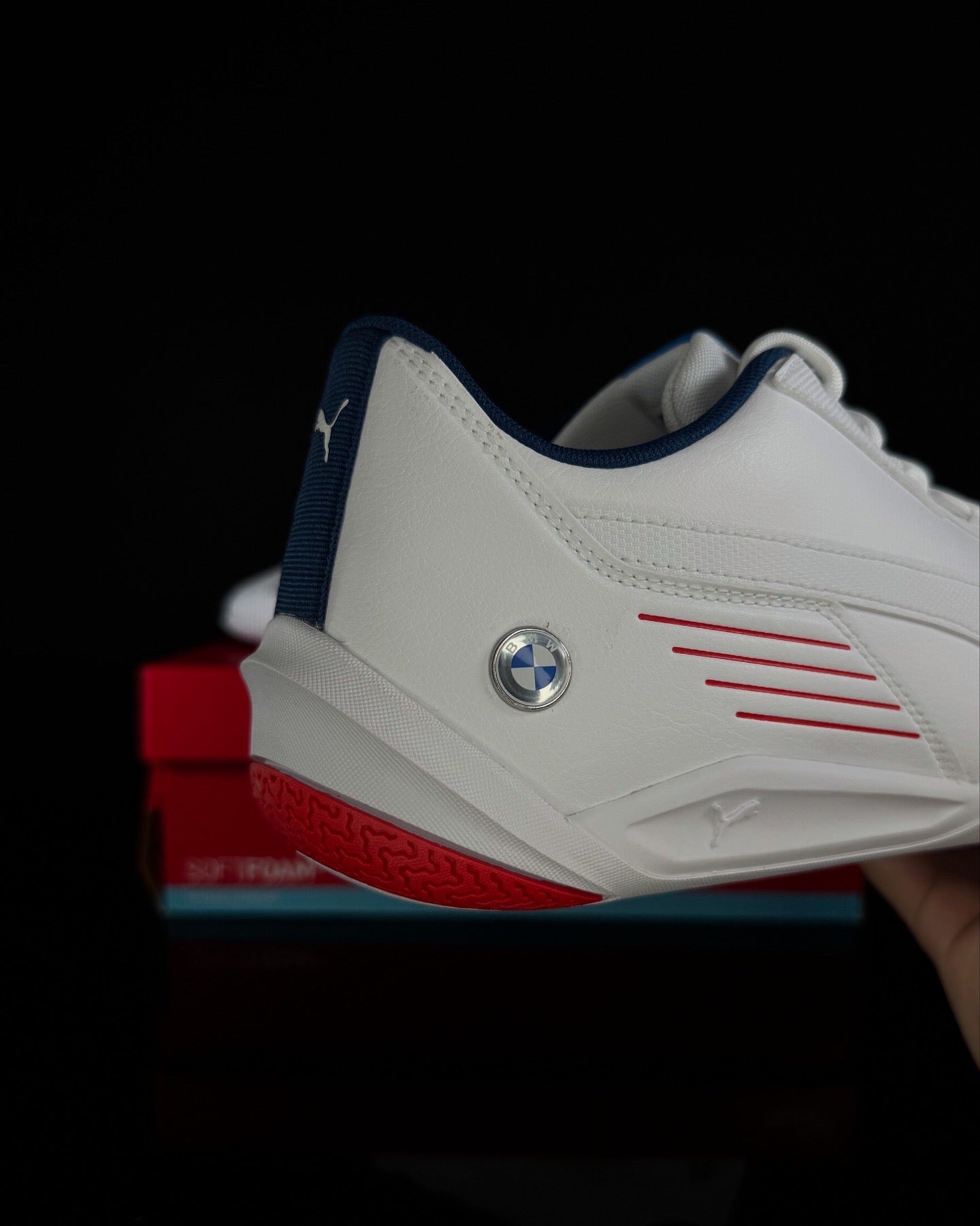 R-Cat Machina x BMW Motorsport