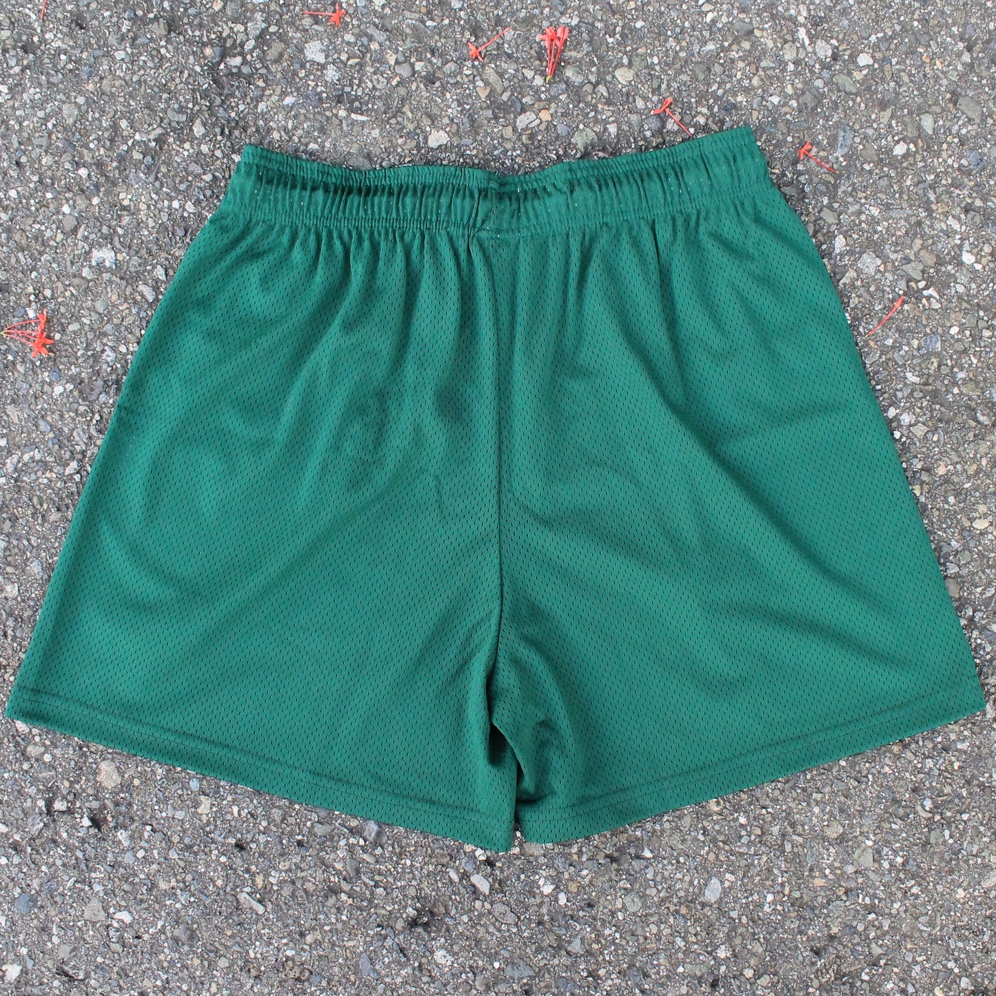 Short “Forest Green” XXL