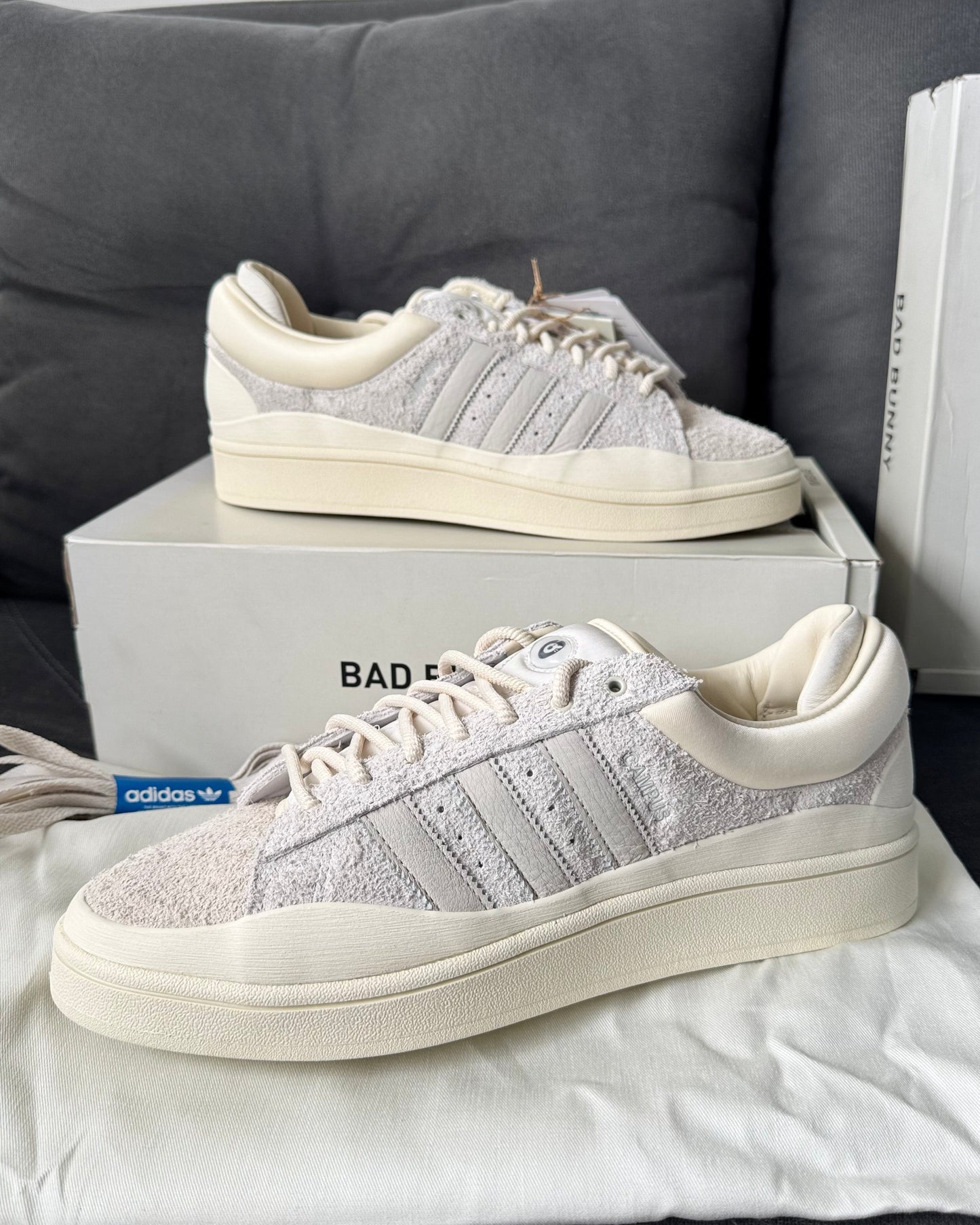 Campus x Bad Bunny "Light" 11,5us