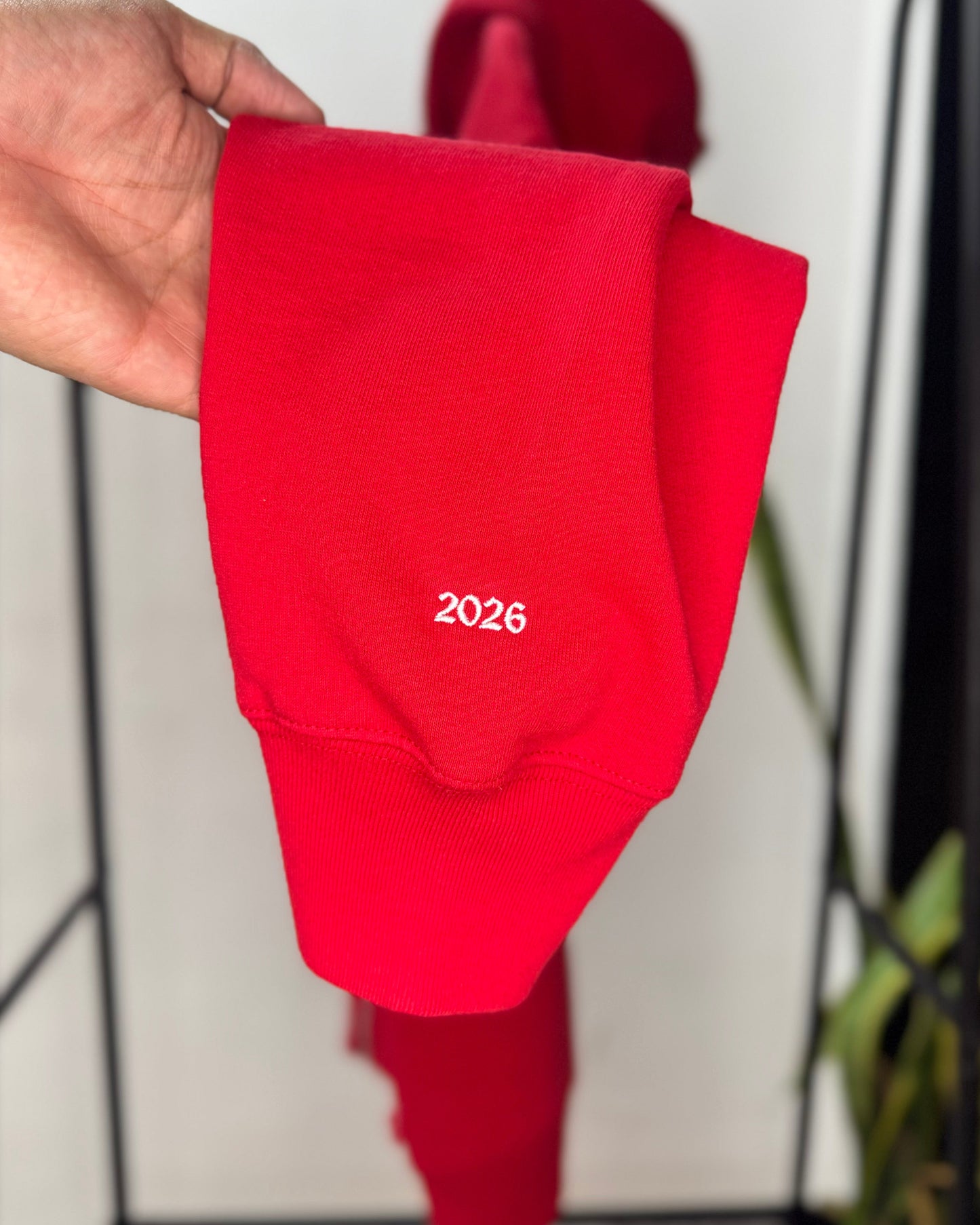Zip Up Hoodie ”Devil S Logo" Red M