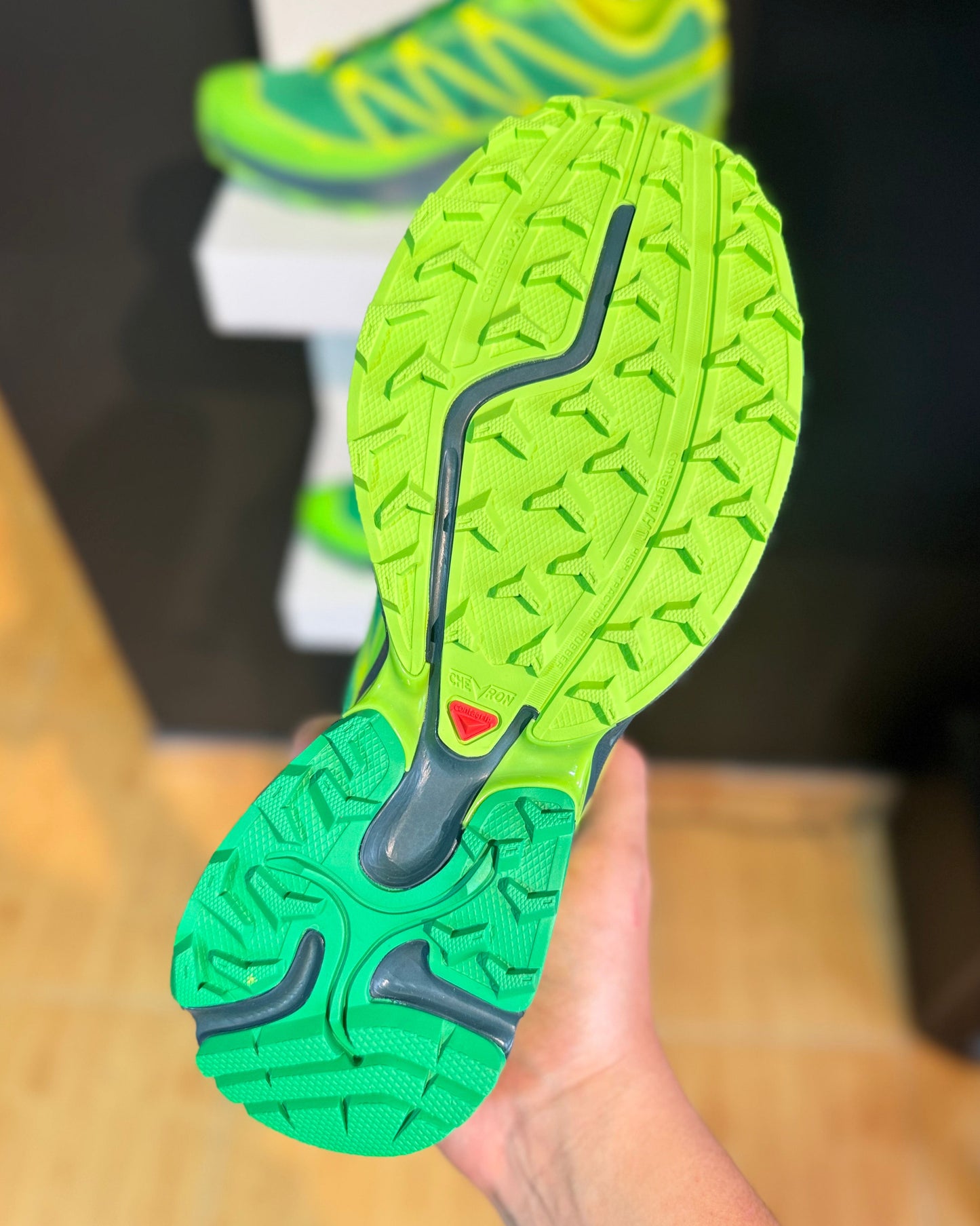 XT-Pathway 2 x Feid "FXXOMOR"